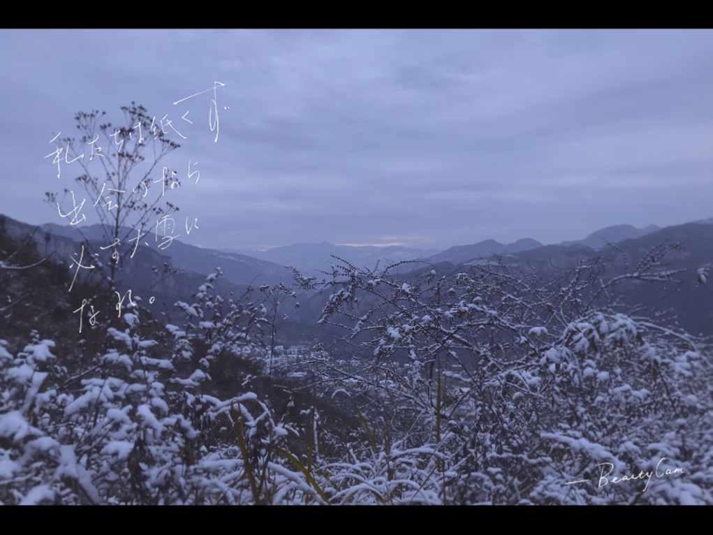兴业银行济南分行:发挥绿色金融优势,为高质量发展贡献兴业力量