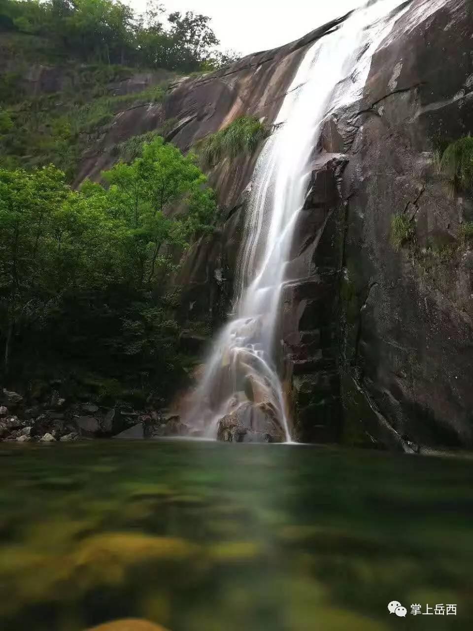 虫虫助手下载